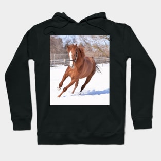 Verrazano filly Hoodie